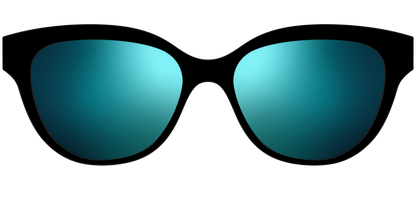 The Polarized Blue Reflective Sun Top