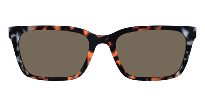 The Polarized Gray & Amber Tortoise Sun Top