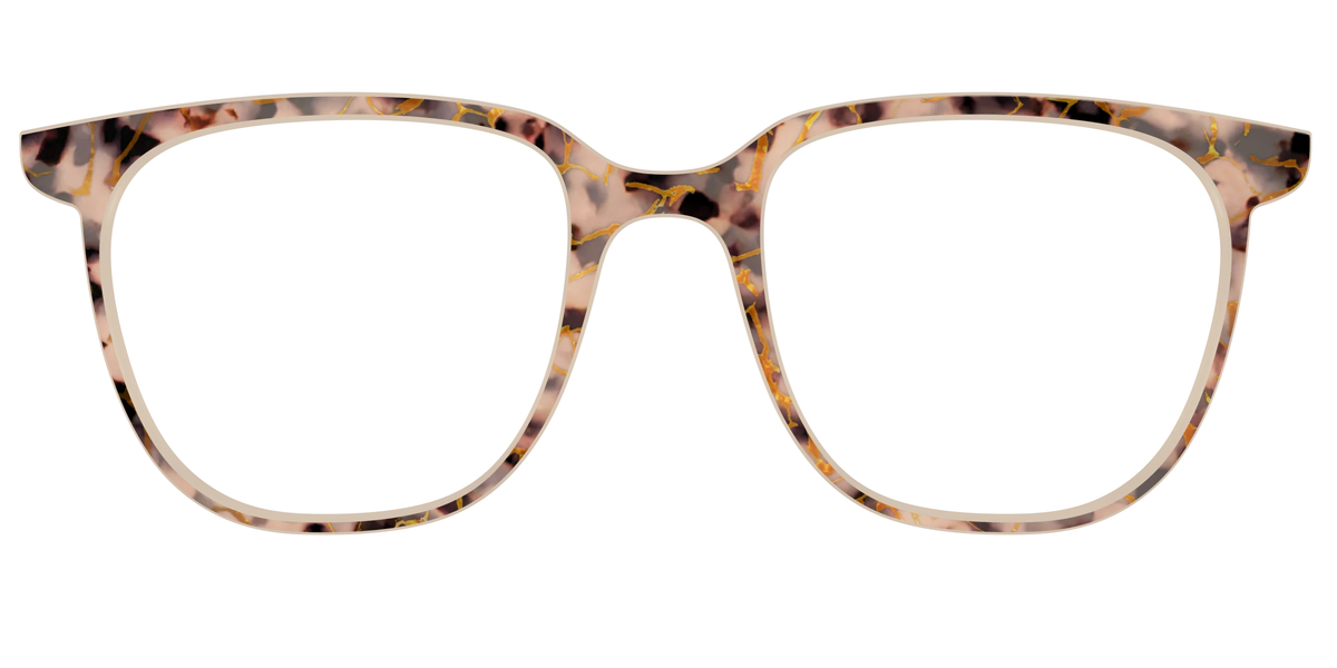The Almond Tortoise with Gold Streaks