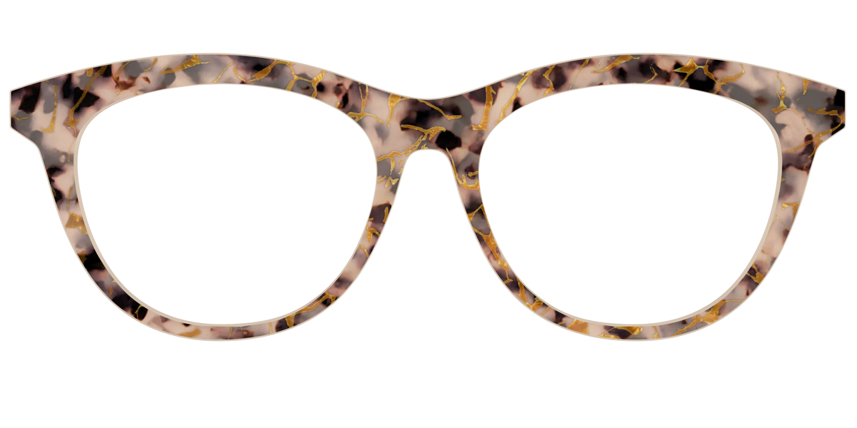 The Almond Tortoise with Gold Streaks