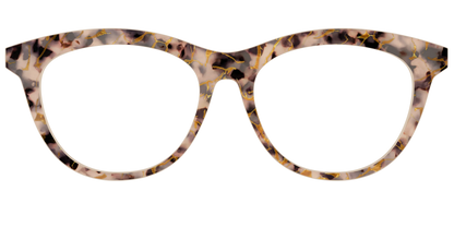 The Almond Tortoise with Gold Streaks
