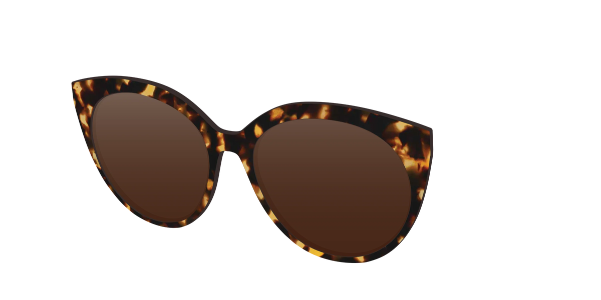 The Polarized Tortoise Sun Top