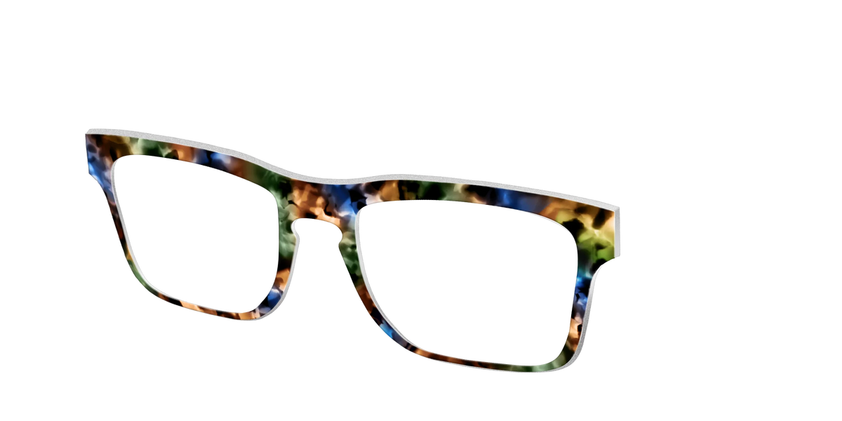 The Hearthside Tortoise