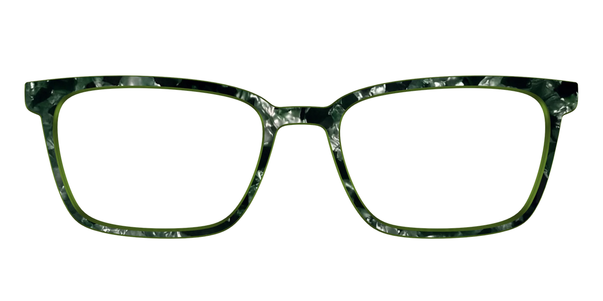 The Olive Pearl Tortoise