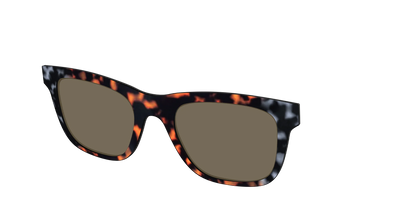 The Polarized Gray & Amber Tortoise Sun Top
