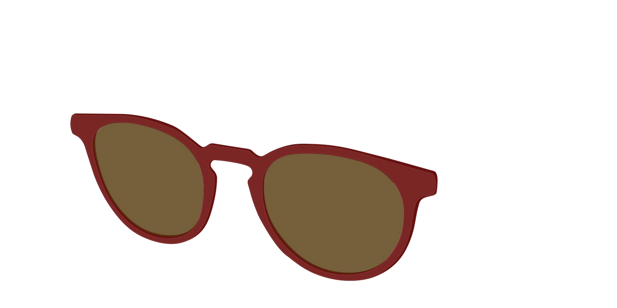 The Polarized Burgundy Sun Top
