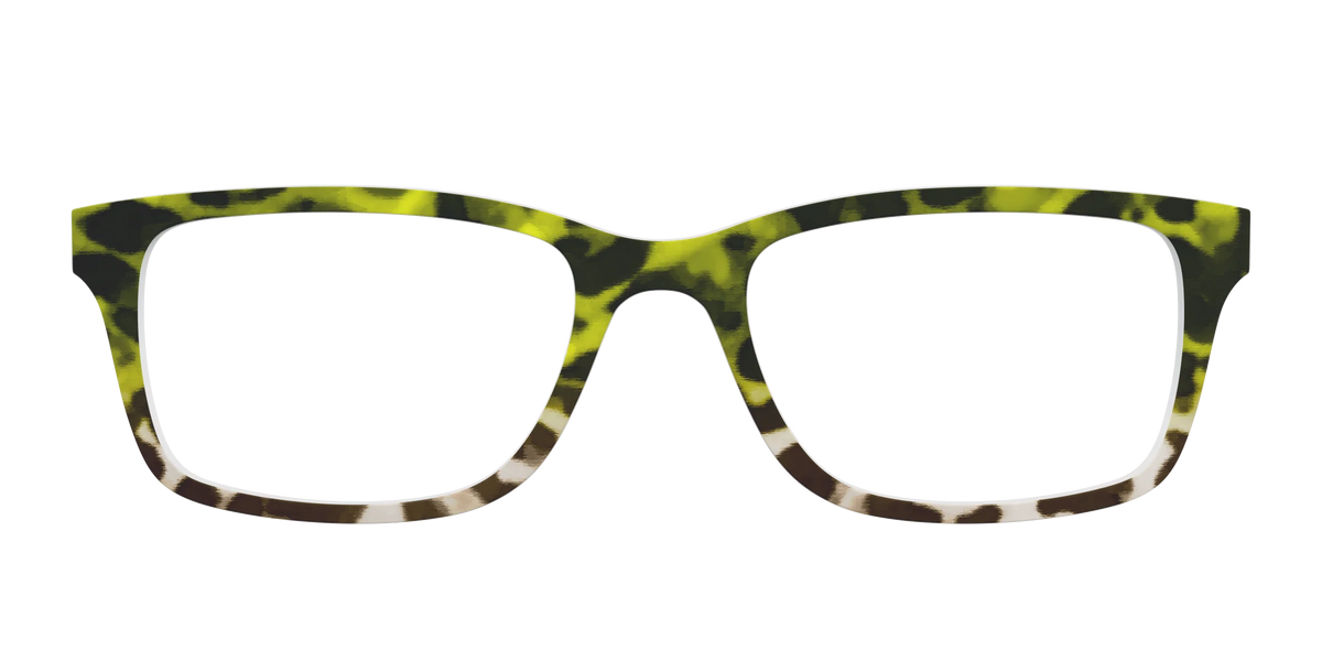 The Avocado to Ivory Tortoise