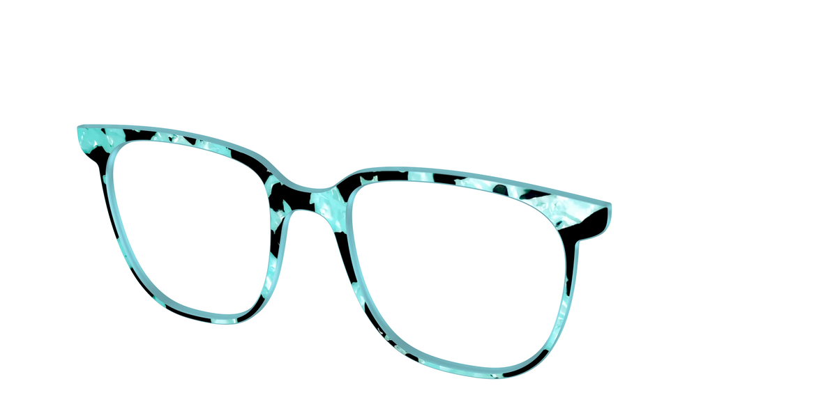 The Robin's Egg Pearl Tortoise