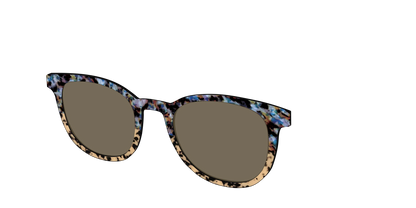 The Polarized Oasis Tortoise Split Sun Top