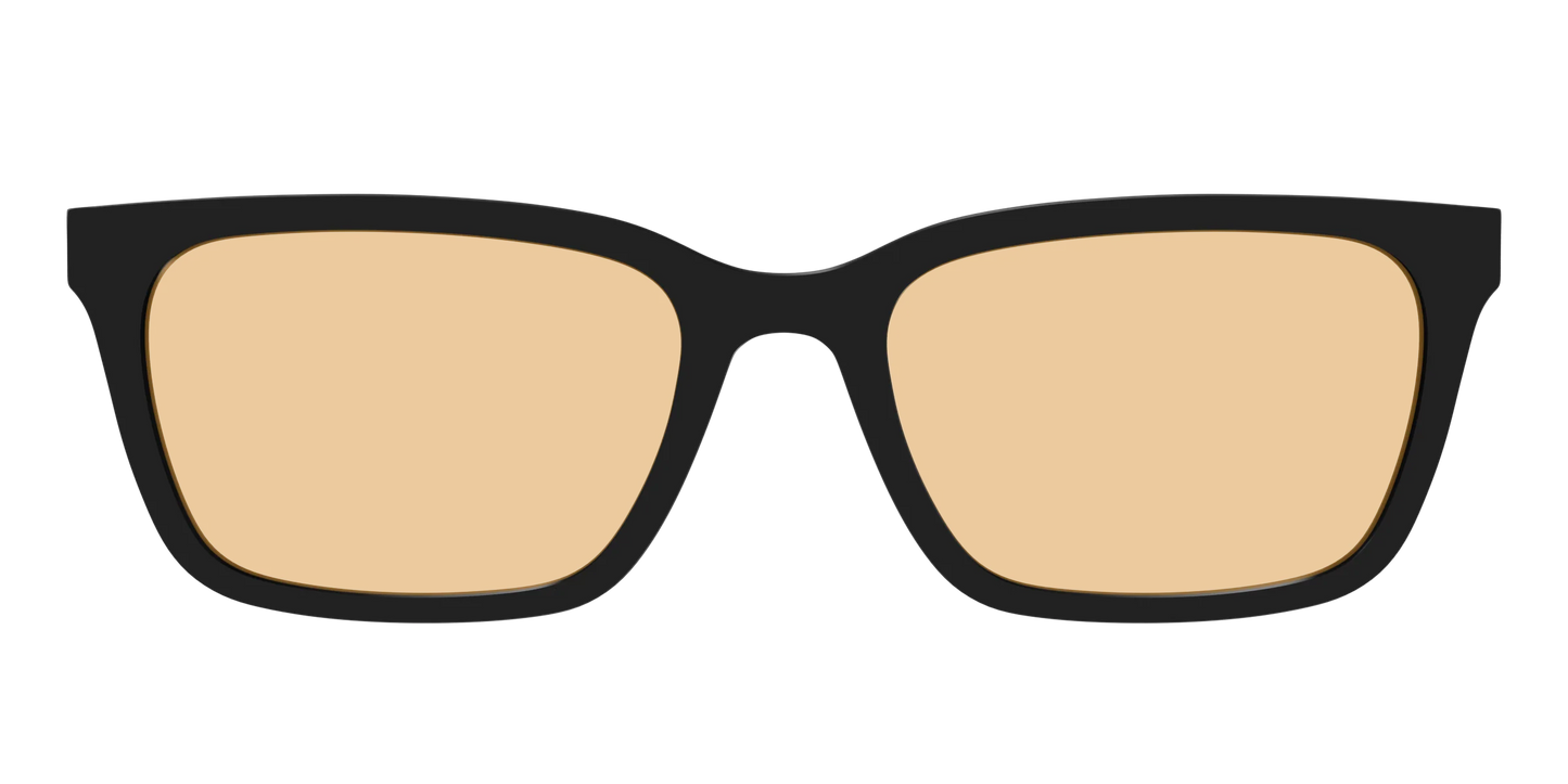 The Black With Umber Brown Lens