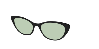 The Black With Sage Green Lens