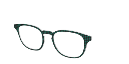 The Vichy Check