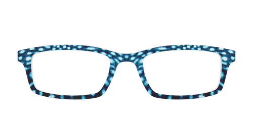 The Whale Shark Spots