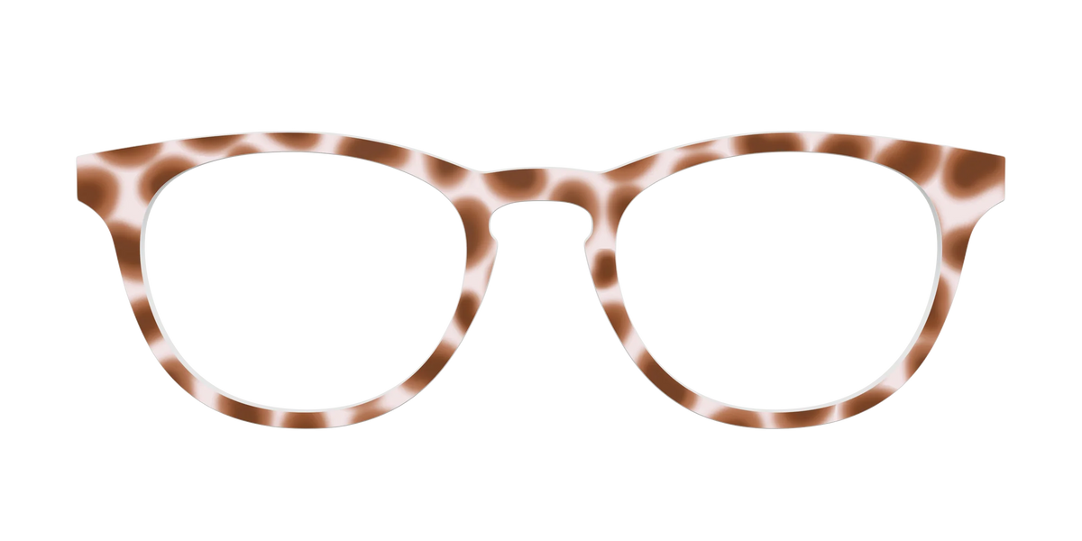 The Caffé Tortoise