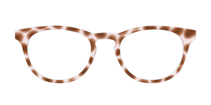 The Caffé Tortoise